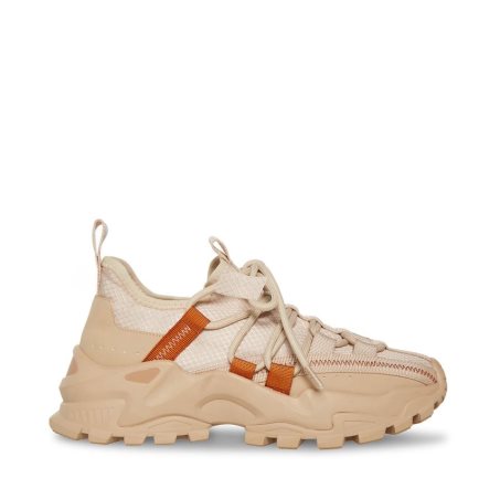Zapatillas Steve Madden Keegan Mujer Marrones Claro | ES MJ40S9